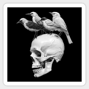 Skull and Birds Sticker